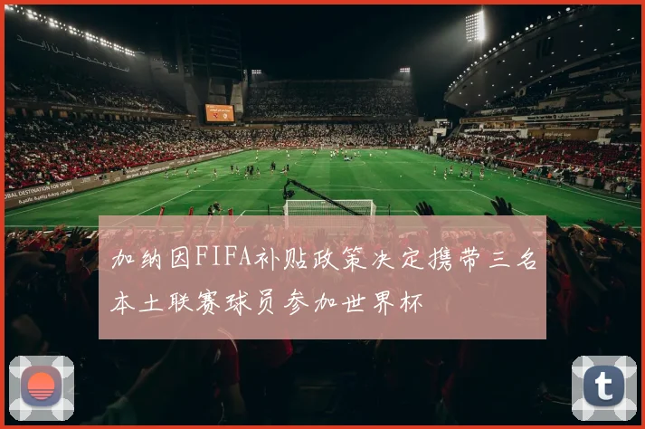加纳因FIFA补贴政策决定携带三名本土联赛球员参加世界杯